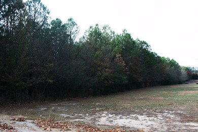 wendt property