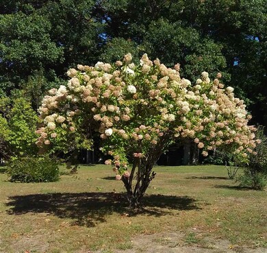 52 Mountain View Dr, Hill, NH 03243 - photo 2