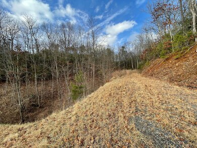 00 Doghobble Dr, Franklin, NC 28734 - photo 6