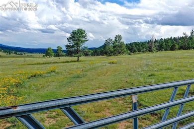 TBD Spring Valley Dr, Florissant, CO 80816 - photo 2