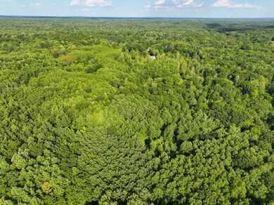 4314 Adams Rd, Lake, MI 48632 - photo 7