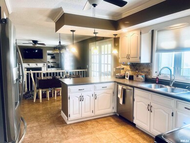 801 S Cottonwood St, Virginia, IL 62691 - photo 5