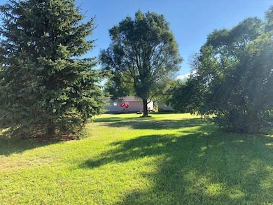 7948 Maple Street back yard