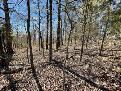 0 Madison 6431 unit 1181224, Elkins, AR 72727 - photo 4