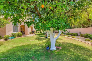 2348 N 24th St, Mesa, AZ 85213 - photo 6