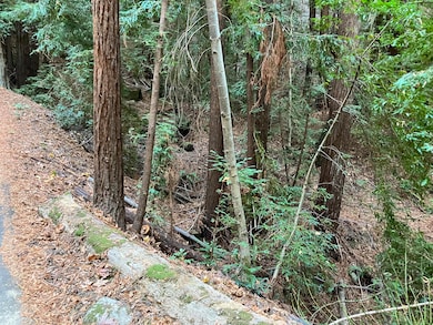 00 Old Logging Rd, Los Gatos, CA 95033 - photo 4
