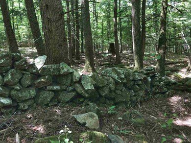 6 Fern Ln, Hanover, NH 03755 - photo 7