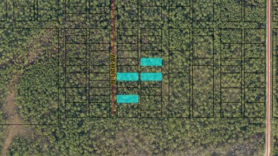 0 N 11th Ave, Avalon, FL 32583 - photo 4