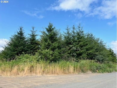 0 Lindberg Rd, Clatskanie, OR 97016 - photo 2
