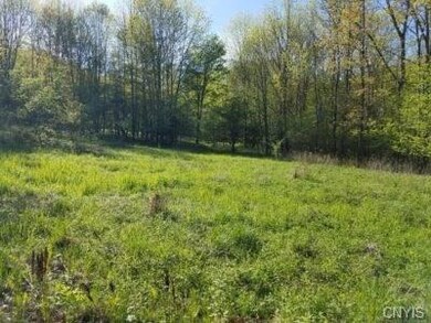 00 State Route 417, Greenwood, NY 14839 - photo 6