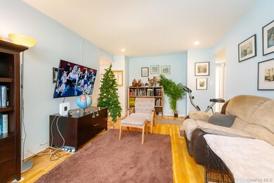 6 W Mill Dr unit 2D, Great Neck, NY 11021 - photo 3