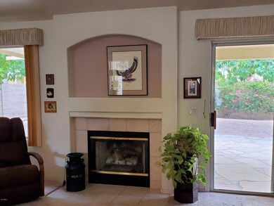 Gas fireplace