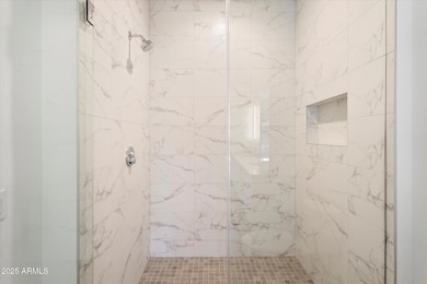 Primary Shower
