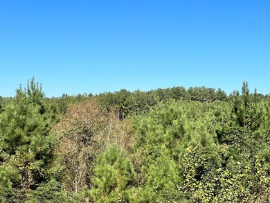 - Airport Ln, Crosby, MS 39633 - photo 7