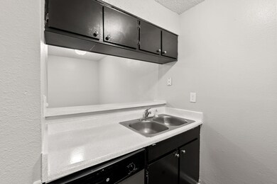 Kitchen with dark cabinetry, a textured wall, light countertops, stainless steel dishwasher, and a textured ceiling