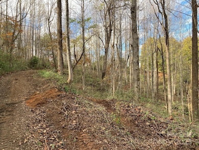 1638 Continental Divide Dr unit 2, Flat Rock, NC 28731 - photo 2