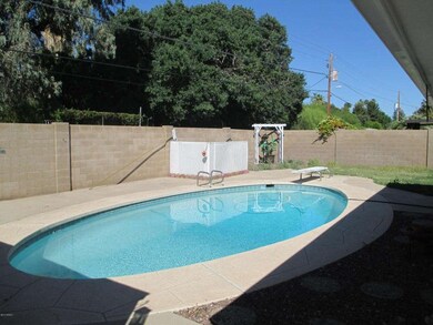 Diving Pool.jpg