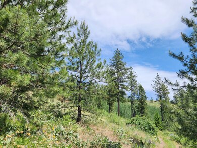 0 Tbd Roundabout Rd unit 23912009, Tonasket, WA 98855 - photo 7