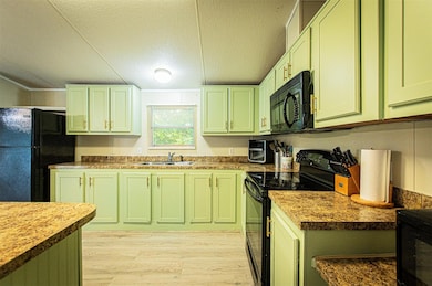 Kitchen with green cabinets, black appliances, li