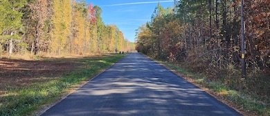 Grand Brooks Rd, Spotsylvania, VA 22551 - photo 4