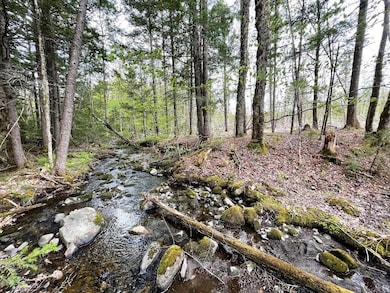 Lot #7 Hammond Brook Rd, Monson, ME 04464 - photo 4