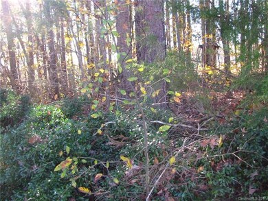 5050 Joyner Rd, Concord, NC 28025 - photo 3