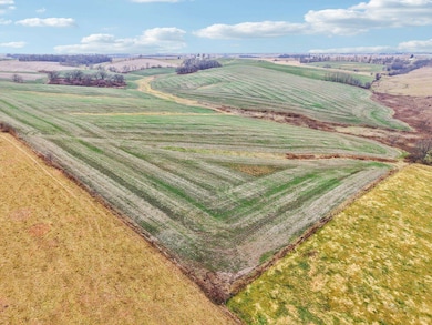 0 County Hwy E, Linden, WI 53565 - photo 7