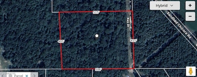 Satellite Image of Property