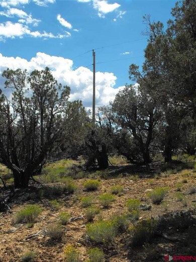 TBD Road J 3, Cortez, CO 81321 - photo 6