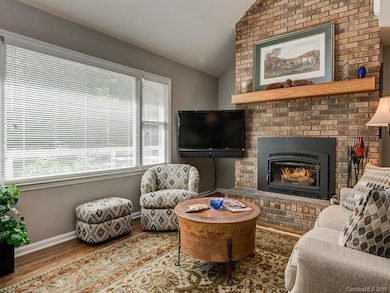 Wood burning Fireplace insert with stainless steel