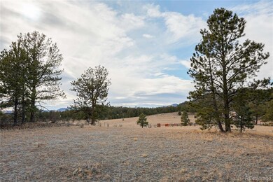 000 Twinkle Rd, Guffey, CO 80820 - photo 5
