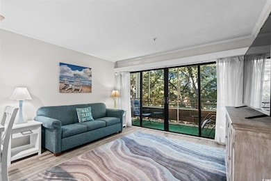 415 Ocean Creek Dr unit 2346, Myrtle Beach, SC 29572 - photo 4