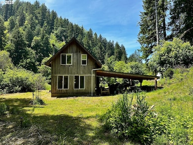 1433 E Canal Creek Rd, Waldport, OR 97394 - photo 5