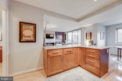 Takoma Overlook Condominium, Takoma Park, MD 20912 - photo 7