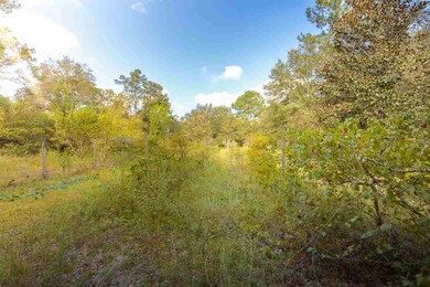 74 Revadee Spears Rd, Crawfordville, FL 32327 - photo 4