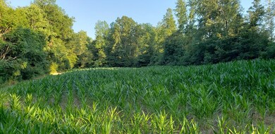 0 N Carolina 87 unit 60025, Pittsboro, NC 27312 - photo 5