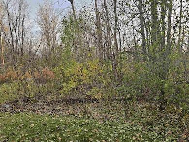 L44 Industrial Dr, Sumpter, WI 53951 - photo 4