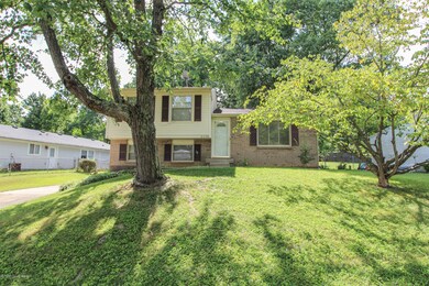 8816 Old Ironsides Dr, Louisville, KY 40228 - photo 3