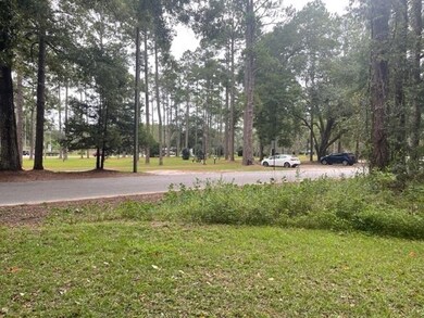 150 Azalea Dr, Crawfordville, FL 32327 - photo 4