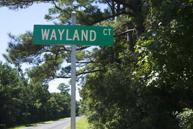 Wayland Court