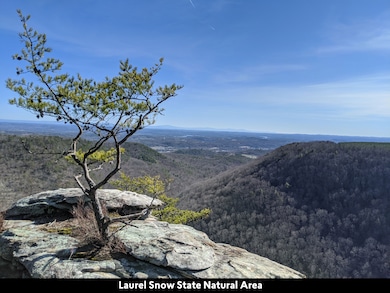 30 Ssr Dr, Pikeville, TN 37367 - photo 5