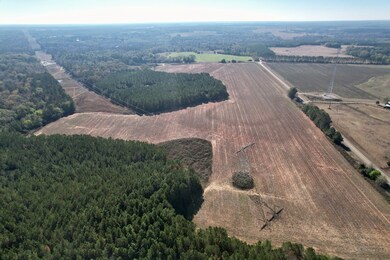 Lot 7 County Road 238, Headland, AL 36345 - photo 4