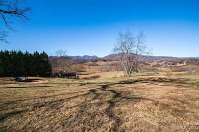 TBD Old Newfound Rd, Leicester, NC 28748 - photo 3