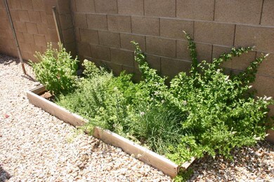 Herb Garden