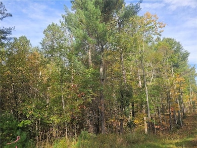 Xxx County Road H, Danbury, WI 54830 - photo 3