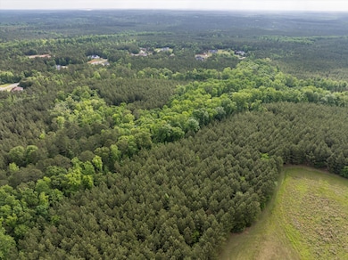 5760 Cobbham Rd, Appling, GA 30802 - photo 6