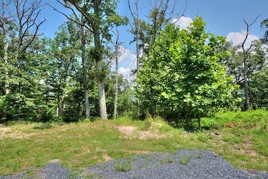 TBD Laurel Ridge Ln, Lyndhurst, VA 22952 - photo 4