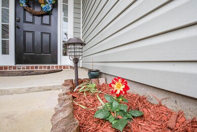 flowers2