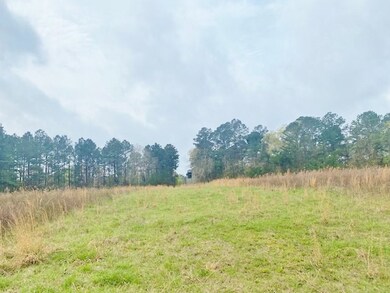 0 Ferguson Cir, McComb, MS 39648 - photo 6