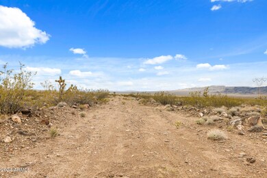 19000 N Pinto Rd unit 97, Dolan Springs, AZ 86441 - photo 2